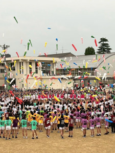 kasukosai1